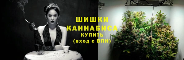 первитин Новозыбков