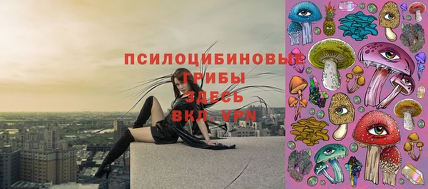 первитин Новозыбков