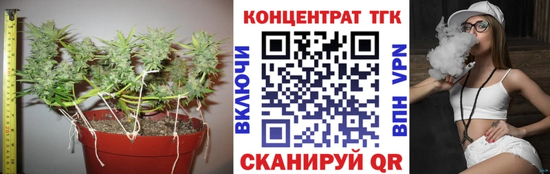 ТГК Wax  hydra ссылки  Нариманов 